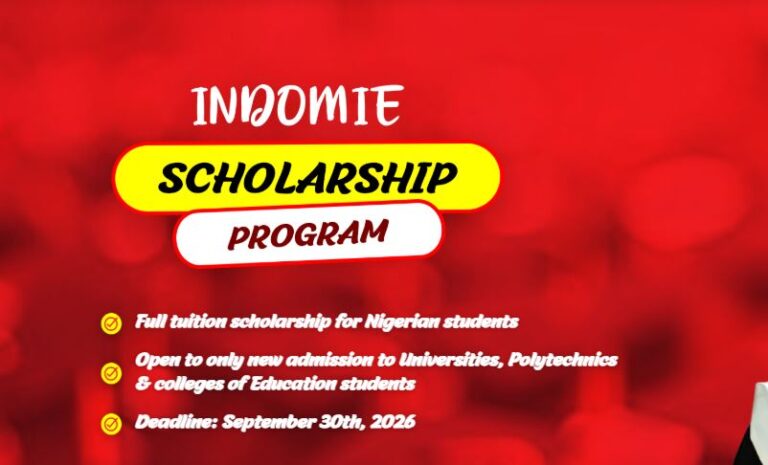 Indomie Scholarship Program 2026